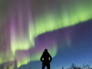 Explore Fairbanks Photo