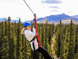 Denali Park Zipline Photo