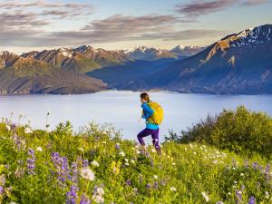 Alaska Vacation Packages for Less at Anchorage.net Photo 2