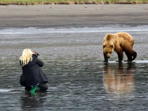 Brown bear & photographer ©Ron Levy Photo