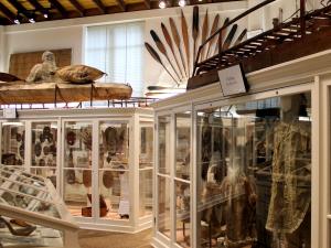 Sheldon Jackson Museum Photo