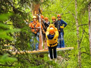 Denali Zipline Tours Photo