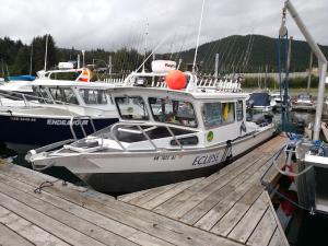 Juneau Charters Photo