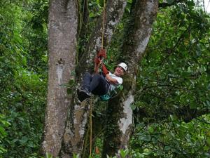 Alpine Ziplining Photo