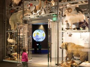 Alaska State Museum Photo
