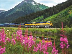 Alaska Railroad Photo