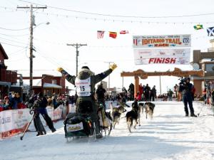 Iditarod Sled Dog Race Photo