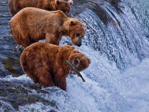 Gondwana Ecotours Photo