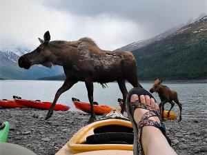 Lifetime Adventures Photo